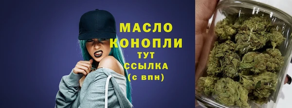дмт Абаза