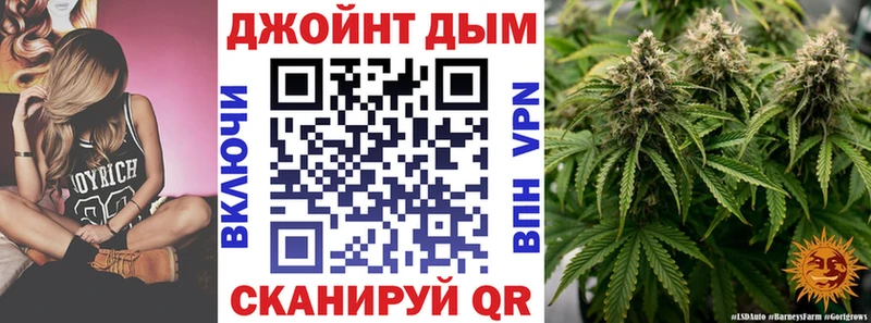 omg ONION  где купить наркоту  Кингисепп  МАРИХУАНА семена 